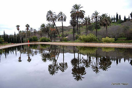 Botanicomalaga