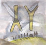 Vacas IV
