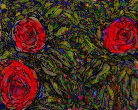 Flores Abstractivas