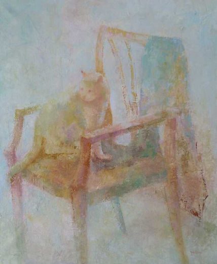 El gato