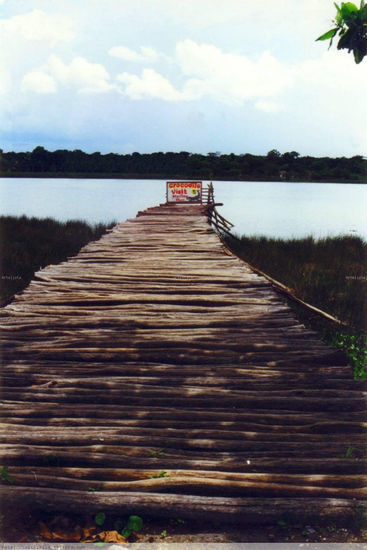 Puente Maya Nature Color (Manual)