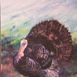 Mundo Animal thumbnail 1