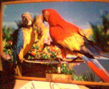 POSTER ORIGINAL DEL CUAL HE PODIDO HACER MI CUADRO