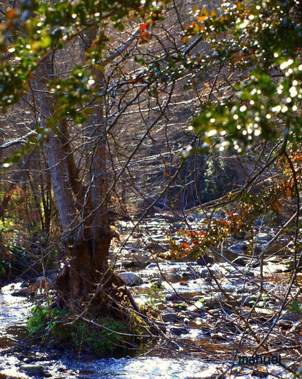 AGUA Naturaleza Color (Digital)