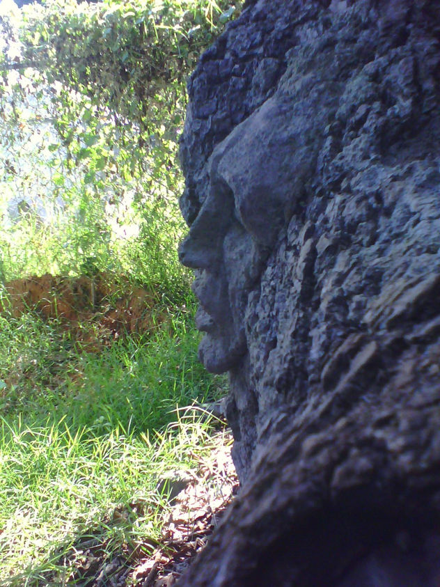 cara de arbol