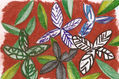 platanos