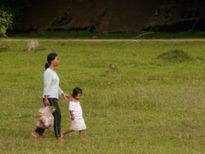 Paseo por el campo