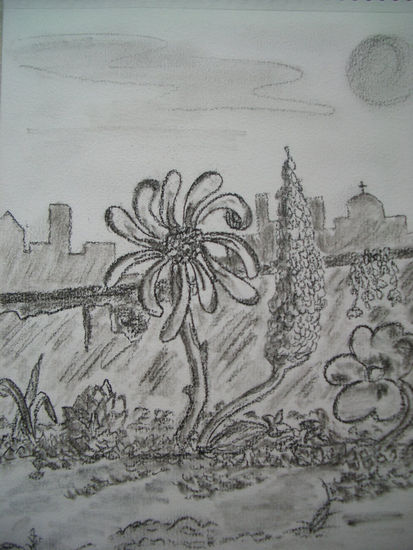 flores Charcoal