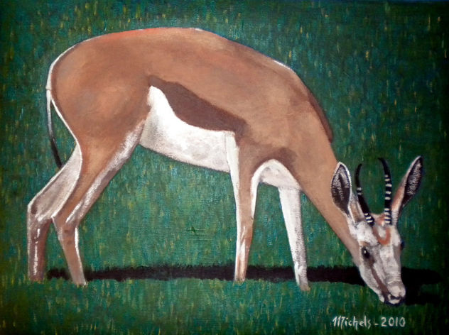 Springbock (Antidorcas marsupialis)