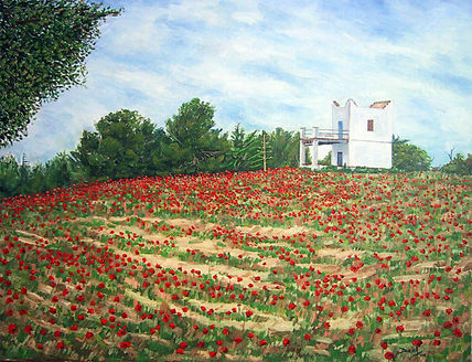 Campo de amapolas...
