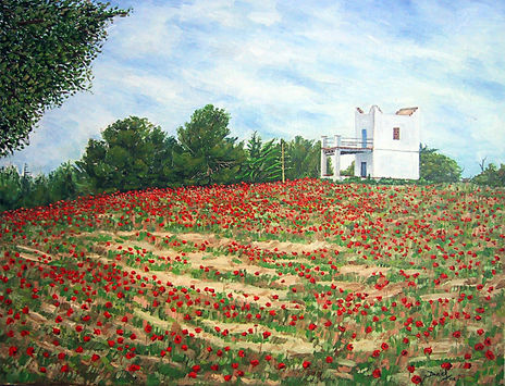 Campo de amapolas...