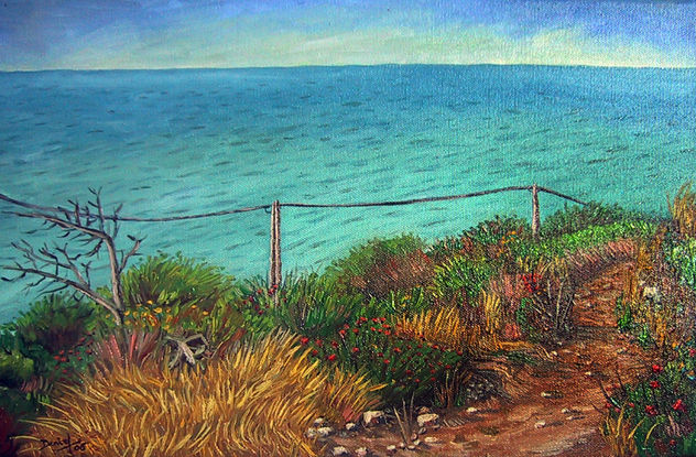 Camino con vegetación y mar