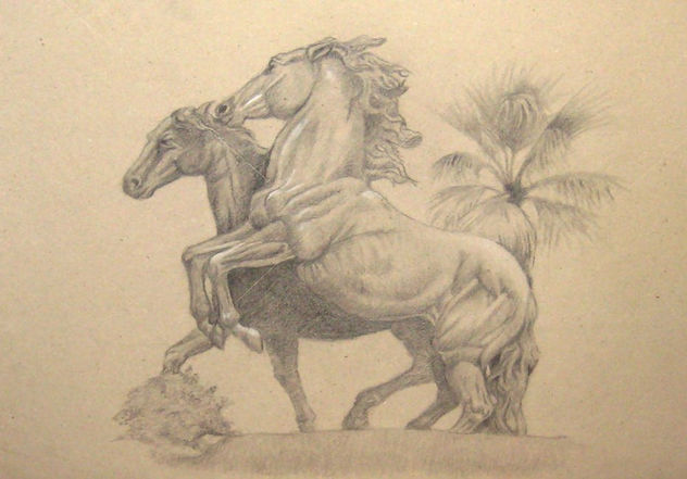 Plaza del Caballo