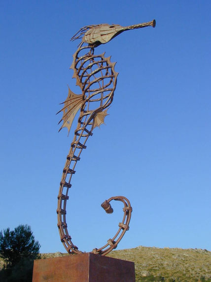 Caballito de mar