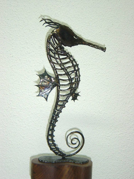 Caballito de mar