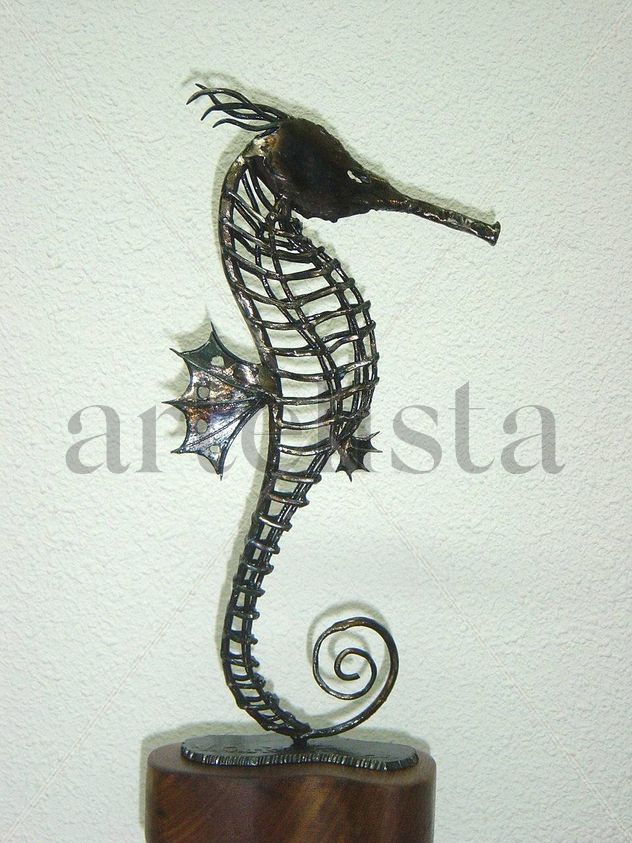 Caballito de mar