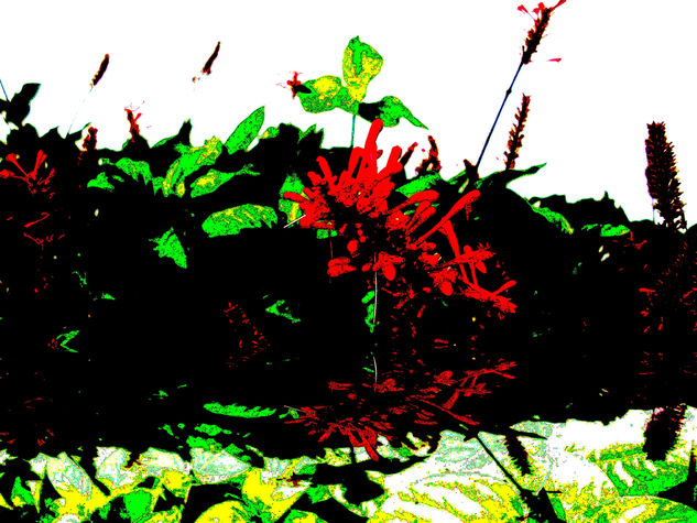 Mi jardin Naturaleza Color (Digital)