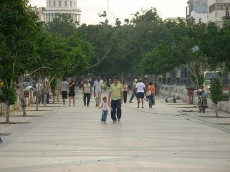 Paceo por el prado