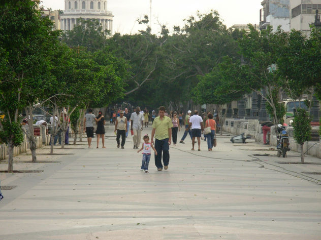 Paceo por el prado