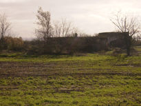 Abandono de un cortijo