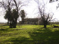 La antigua casa de la habuela