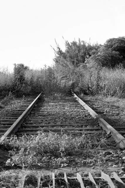 Tren consecionado