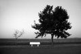 Descanso