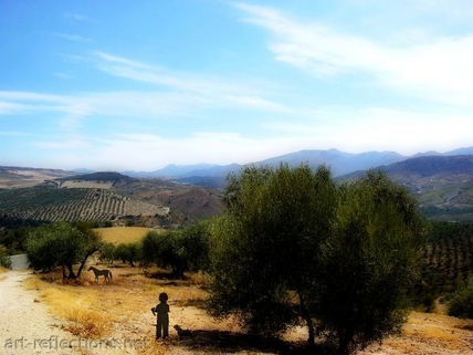 Olive Grove  (El...