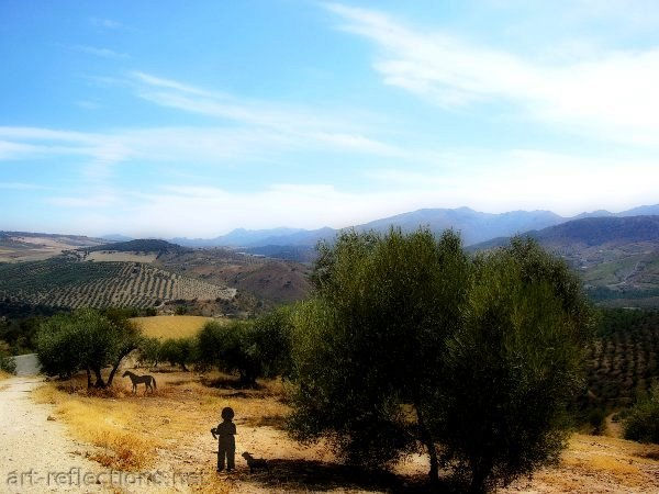 Olive Grove  (El Olivar)