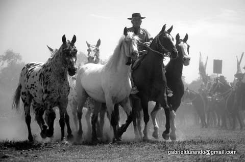 Marcha Photojournalism and Documentary Black and White (Digital)