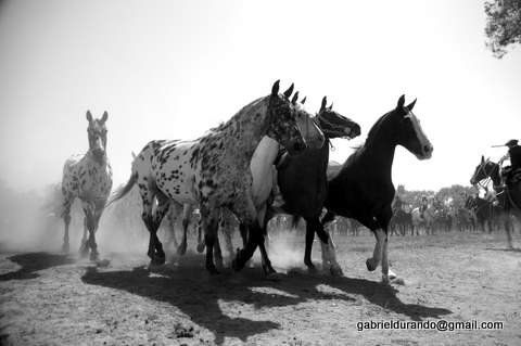 Pintados Photojournalism and Documentary Black and White (Digital)