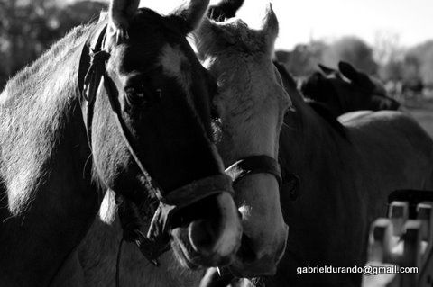 Juntos Fotoperiodismo y documental Blanco y Negro (Digital)