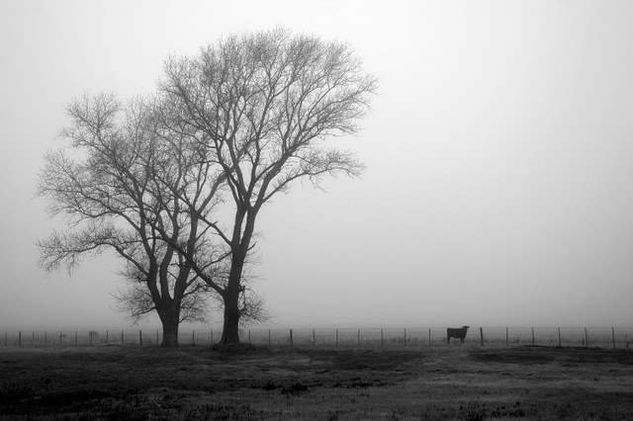 Invierno Fotoperiodismo y documental Blanco y Negro (Digital)