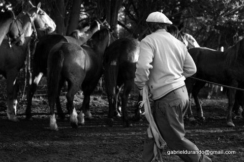 Contarlos Fotoperiodismo y documental Blanco y Negro (Digital)