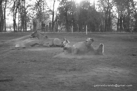 Buscando calor Photojournalism and Documentary Black and White (Digital)