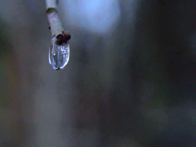 La Gota fría Naturaleza Color (Digital)