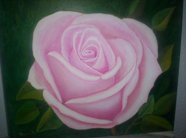 una sola rosa Oil Canvas Landscaping