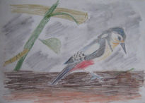 Pajaro carpintero