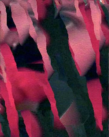 Fotografía Digital Serie de 45 imagenes  " 5 Sentidos"