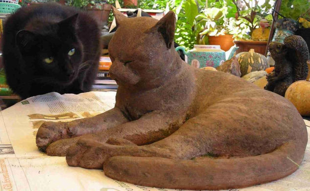 gato Terracota Figurativa