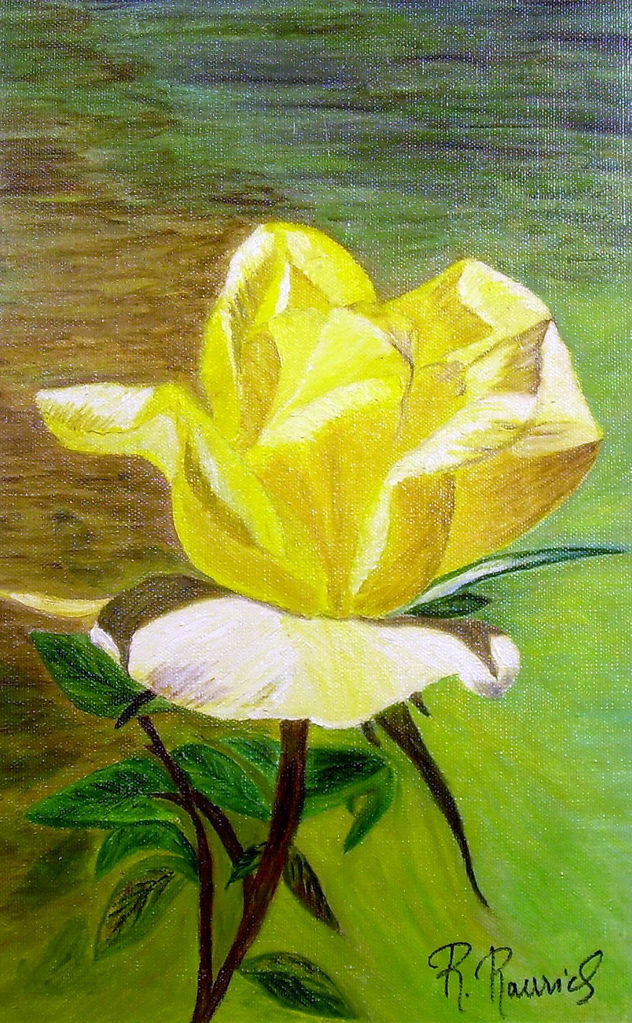 ROSA GROGA