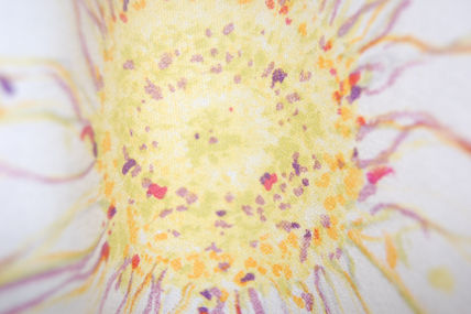 Sol de fantasia