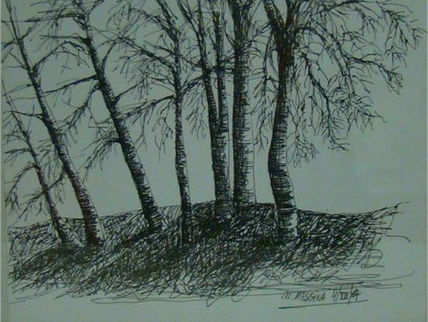 A orillas del lago i