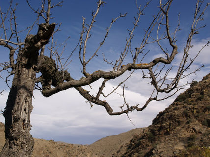 Naturaleza