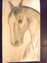 BOCETO DE UN POTRILLO