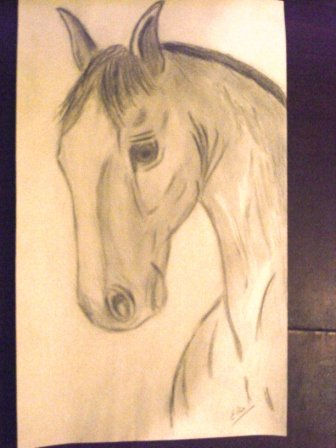 BOCETO DE UN POTRILLO