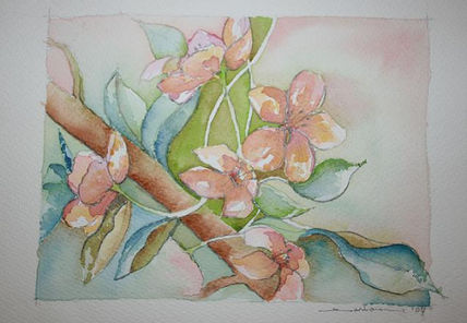 Flores 3