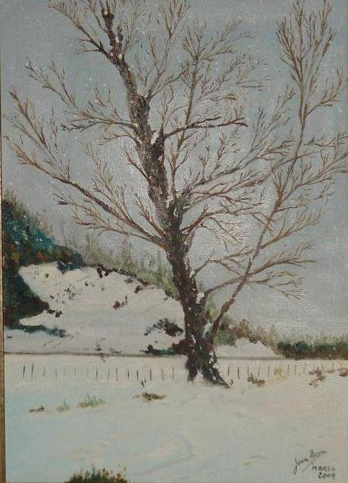 VILLACANTID. PAISAJE NEVADO