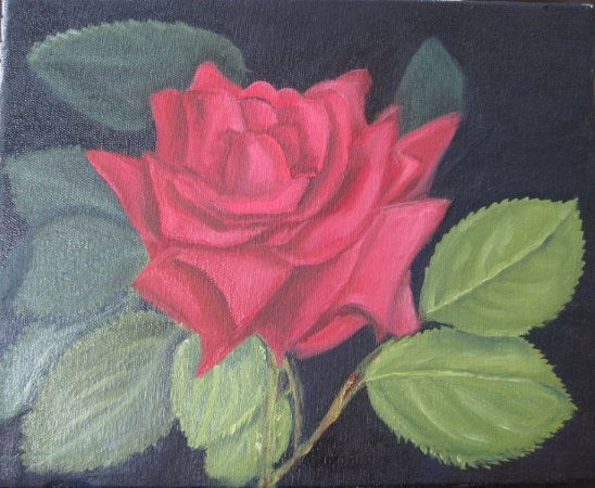 ROSA ROJA