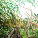 RESERVA ECOLOGICA thumbnail 2